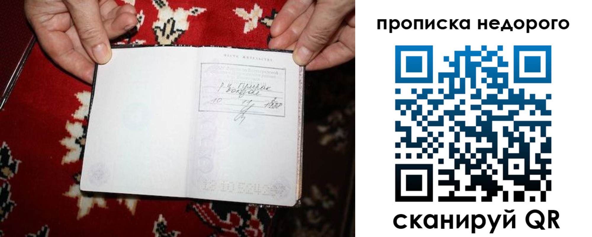 прописка гарантия в Чернушке